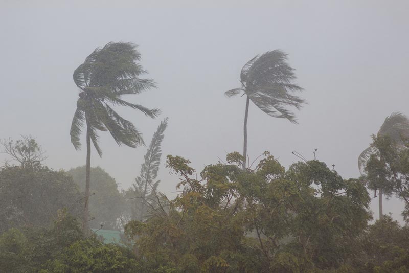 พายุฝนที่ไทย พายุฝนที่ไทย