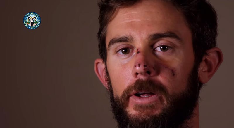 ฆ่าสัตว์ ฆ่าสัตว์